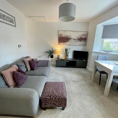 Compact Modern Apartment Single Person Or Couple Only Bangor  Exterior foto
