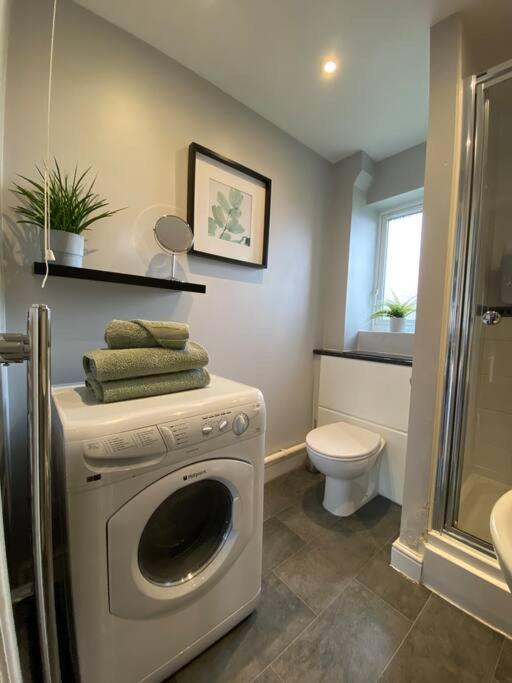 Compact Modern Apartment Single Person Or Couple Only Bangor  Exterior foto